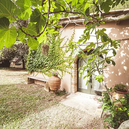 Relais Casale Il Poggetto - I Pini By Zoom In Earth Apartament Cecina (Livorno)